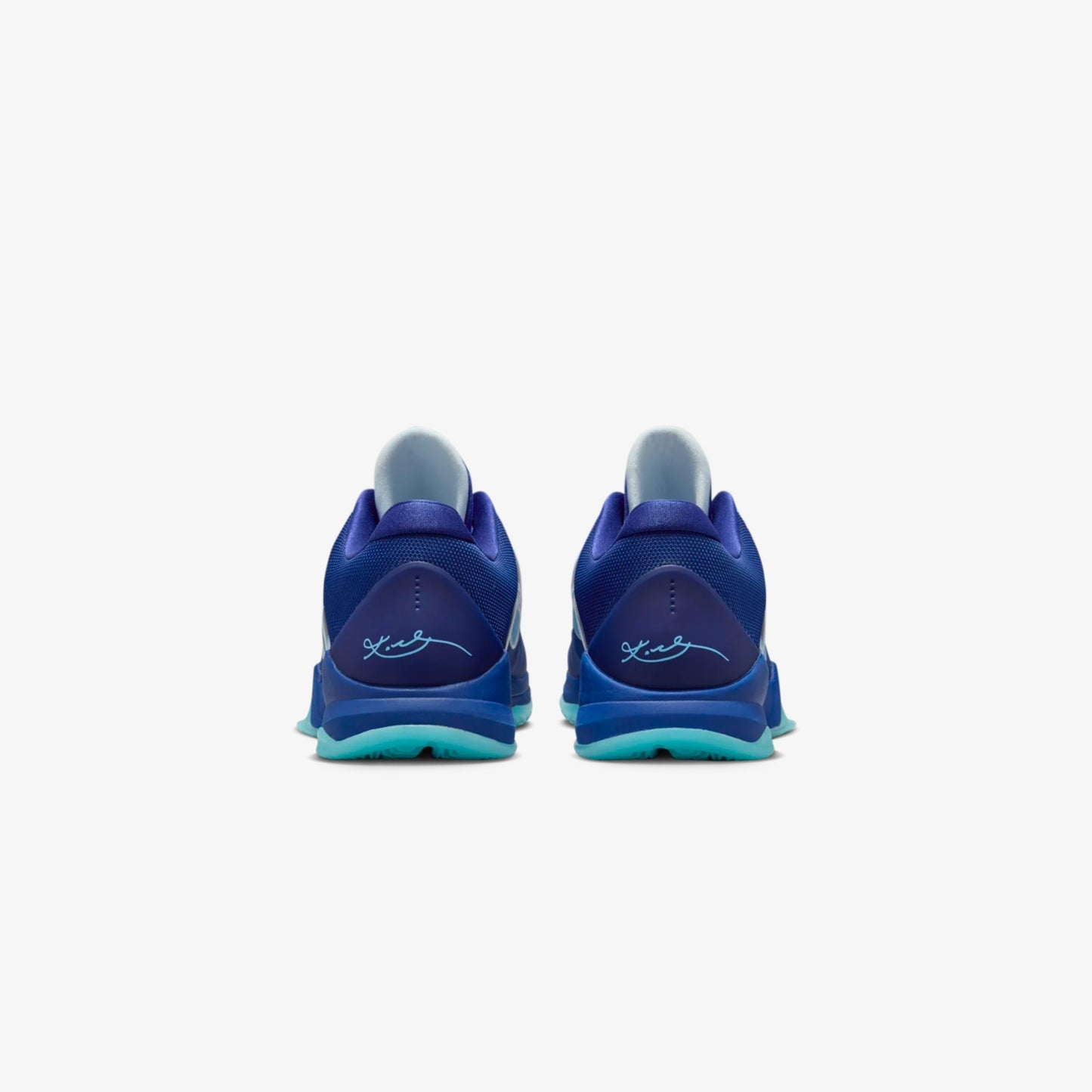 Kobe 5 Protro X-Ray