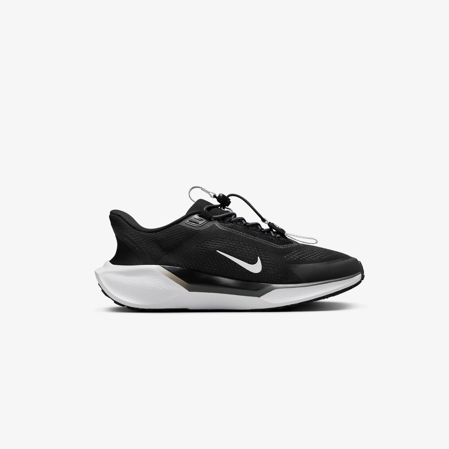 NIKE PEGASUS EASYON