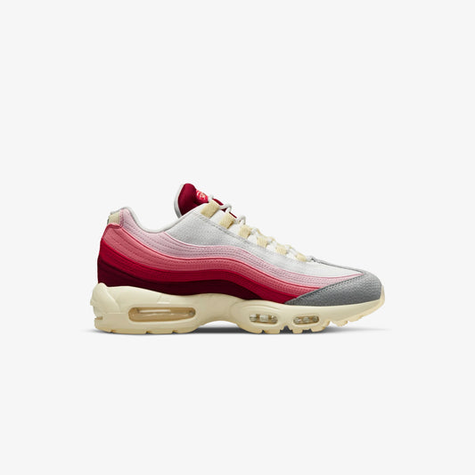 Nike Air Max 95 Anatomy of Air